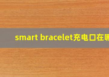 smart bracelet充电口在哪